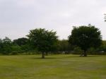 神流川リバーサイド公園の写真のサムネイル写真2