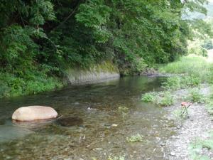 小平河川公園（第二駐車場）の写真