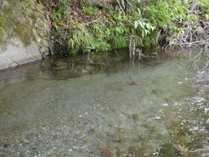 小平河川公園（第二駐車場）の写真4