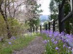 【川遊び】蛇喰渓谷で川遊び！の写真のサムネイル写真7