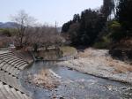 【ウォーキング】小平河川公園からかたらい広場までウォーキング！の写真のサムネイル写真4