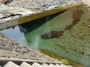 【ウォーキング】小平河川公園からかたらい広場までウォーキング！の写真6