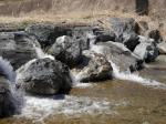 【ウォーキング】小平河川公園からかたらい広場までウォーキング！の写真のサムネイル写真8