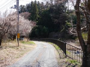 【ウォーキング】小平河川公園からかたらい広場までウォーキング！の写真9