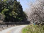 【ウォーキング】小平河川公園からかたらい広場までウォーキング！の写真のサムネイル写真13