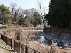 【ウォーキング】小平河川公園からかたらい広場までウォーキング！の写真14