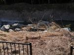 【ウォーキング】小平河川公園からかたらい広場までウォーキング！の写真のサムネイル写真15