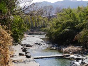 【ウォーキング】小平河川公園からかたらい広場までウォーキング！の写真24