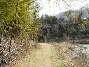 【ウォーキング】小平河川公園からかたらい広場までウォーキング！の写真27