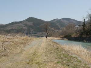 【ウォーキング】小平河川公園からかたらい広場までウォーキング！の写真28