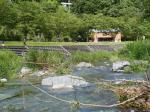 【川遊び】小平河川公園で、川遊び！の写真のサムネイル写真7