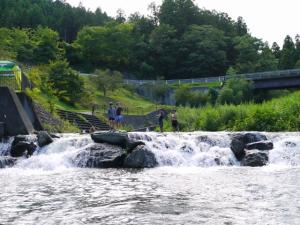 【川遊び】小平河川公園で、川遊び！の写真11