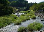 【川遊び】小平河川公園で、川遊び！の写真のサムネイル写真16