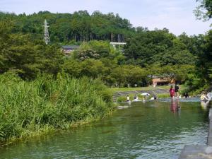 【川遊び】小平河川公園で、川遊び！の写真18