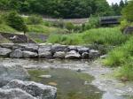 【川遊び】小平河川公園で、川遊び！水中カメラで小魚捕獲！の写真のサムネイル写真20