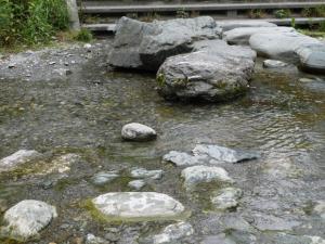 【川遊び】小平河川公園で、川遊び！水中カメラで小魚捕獲！の写真21