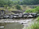 【川遊び】小平河川公園で、川遊び！水中カメラで小魚捕獲！の写真のサムネイル写真35