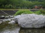 【川遊び】小平河川公園で、川遊び！水中カメラで小魚捕獲！の写真のサムネイル写真42