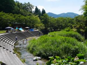 【川遊び】小平河川公園で、川遊びしていたら蛇登場！の写真4