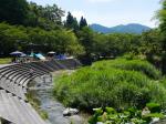 【川遊び】小平河川公園で、川遊びしていたら蛇登場！の写真のサムネイル写真4