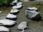【川遊び】小平河川公園で、川遊びしていたら蛇登場！の写真のサムネイル写真5