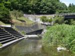 【川遊び】小平河川公園で、川遊びしていたら蛇登場！の写真のサムネイル写真6