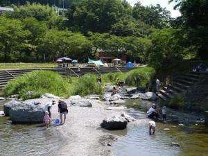 【川遊び】小平河川公園で、川遊びしていたら蛇登場！の写真7