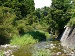 【川遊び】小平河川公園で、川遊びしていたら蛇登場！の写真のサムネイル写真11
