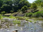 【川遊び】小平河川公園で、川遊びしていたら蛇登場！の写真のサムネイル写真12
