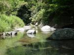【川遊び】小平河川公園で、川遊びしていたら蛇登場！の写真のサムネイル写真16