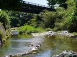 【川遊び】小平河川公園で、川遊びしていたら蛇登場！の写真のサムネイル写真17