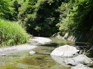 【川遊び】小平河川公園で、川遊びしていたら蛇登場！の写真19