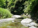 【川遊び】小平河川公園で、川遊びしていたら蛇登場！の写真のサムネイル写真19