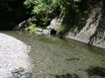 【川遊び】小平河川公園で、川遊びしていたら蛇登場！の写真のサムネイル写真20