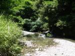 【川遊び】小平河川公園で、川遊びしていたら蛇登場！の写真のサムネイル写真21