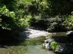 【川遊び】小平河川公園で、川遊びしていたら蛇登場！の写真のサムネイル写真22