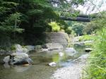 【川遊び】小平河川公園で、川遊びしていたら蛇登場！の写真のサムネイル写真24