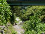 【川遊び】小平河川公園で、川遊びしていたら蛇登場！の写真のサムネイル写真28