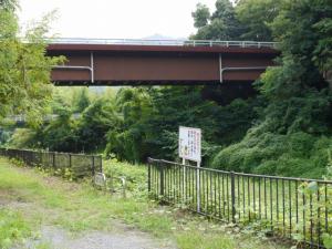 【川遊び】小平河川公園（第二駐車場）のほうで、川遊び！の写真1