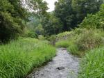 【川遊び】小平河川公園（第二駐車場）のほうで、川遊び！の写真のサムネイル写真9