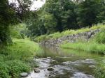 【川遊び】小平河川公園（第二駐車場）のほうで、川遊び！の写真のサムネイル写真10