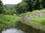 【川遊び】小平河川公園（第二駐車場）のほうで、川遊び！の写真のサムネイル写真12