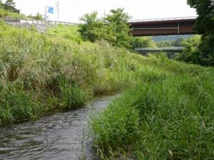 【川遊び】小平河川公園（第二駐車場）のほうで、川遊び！の写真13