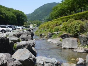 【川遊び】こいこいアイランド会館の河原で、川遊び！の写真5