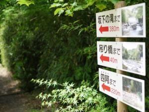 【川遊び】川の駅 上野の川で、じゃぶじゃぶ！の写真1