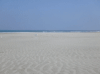波崎海岸砂丘植物公園の写真のサムネイル写真1