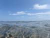 波崎海岸砂丘植物公園の写真のサムネイル写真45