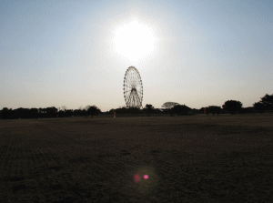 国営ひたち海浜公園の写真