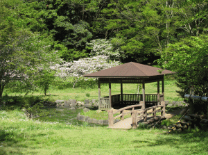 歩崎森林公園の写真