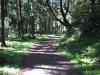 歩崎森林公園の写真のサムネイル写真5